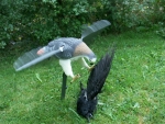 Angreifender Greifvogel mit rotierenden Flügeln